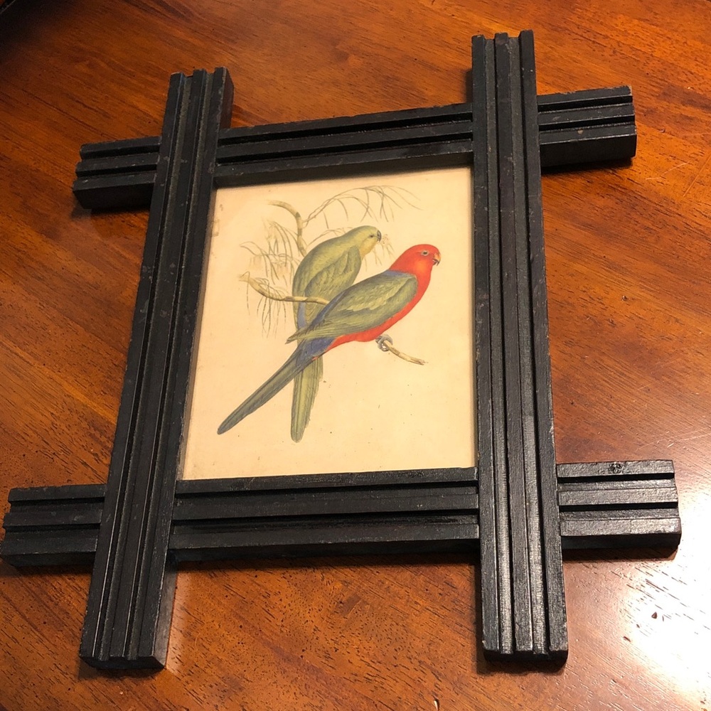 Vintage Birds Print Signed J Gould.
Black Wooden Frame